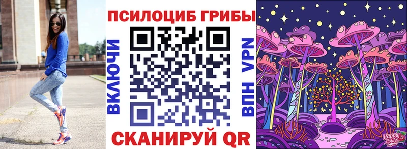 Купить  Дубна  Галлюциногенные грибы мицелий 